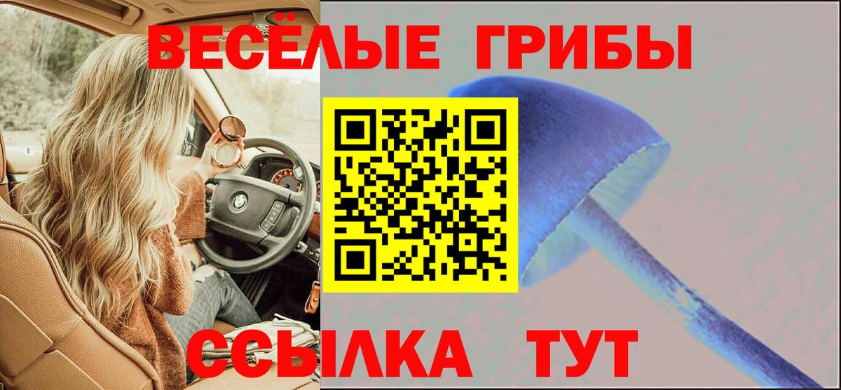 Псилоцибиновые грибы GOLDEN TEACHER Клин