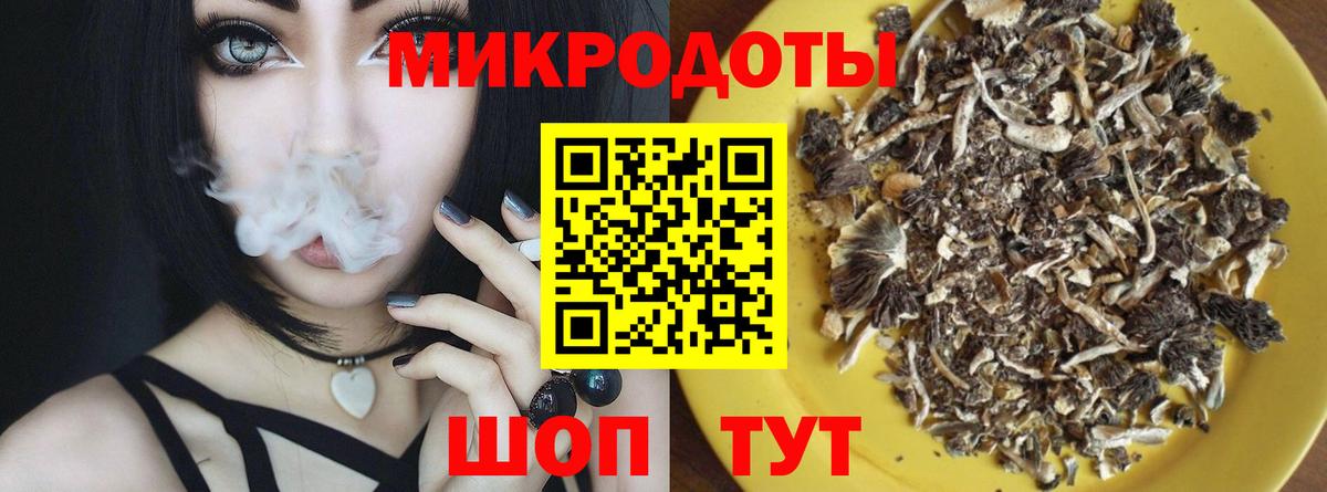 Клин  Галлюциногенные грибы Psilocybine cubensis  Вход с VPN 